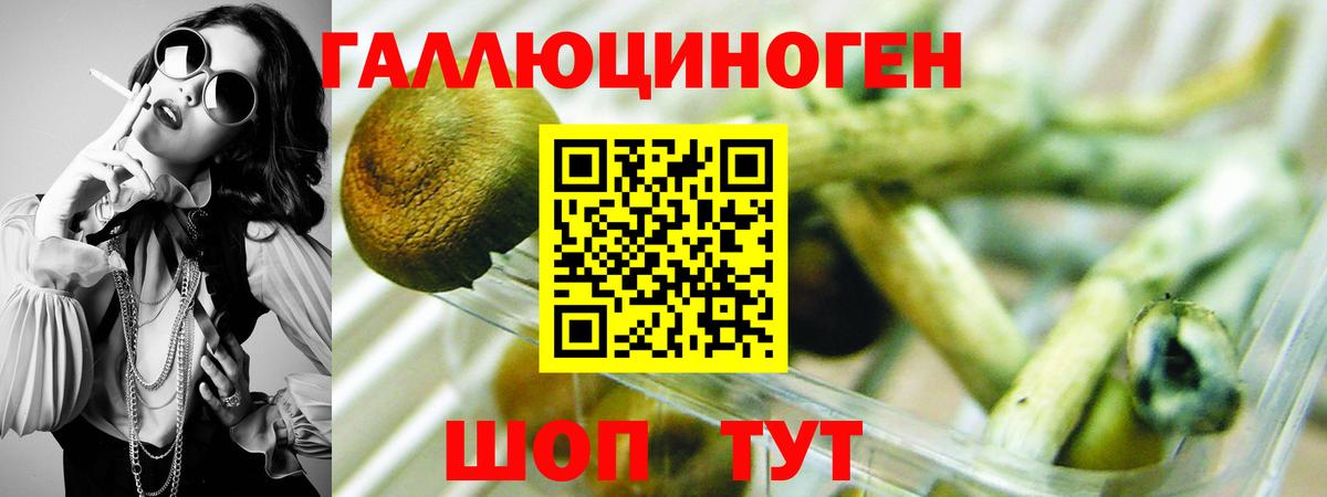 магазин продажи наркотиков  Вход с VPN  Улан-Удэ  Псилоцибиновые грибы прущие грибы 